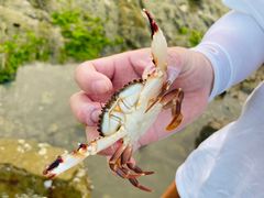 -青岛银沙滩温德姆至尊酒店