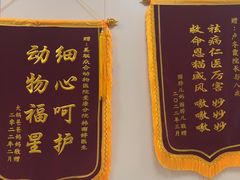 -美联众合爱康动物医院•复杂内科•肿瘤科•牙科•腔镜诊疗中心