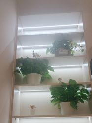 -悦色嘉丽科技美肤健康管理