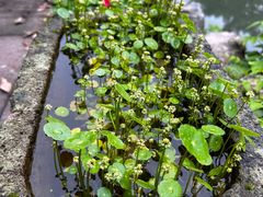 -宁波市保国寺古建筑博物馆