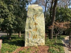 -灵谷景区