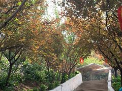 -玫瑰庄园·自助烧烤·烤全羊·团建拓展(龙泉山店)