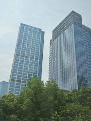 -上海首尔丽格医疗美容医院