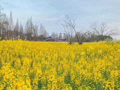 -蜀绣公园