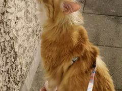 -东北农家小院(定西路店)