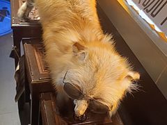 -杂咖zacup(领展中心城店)