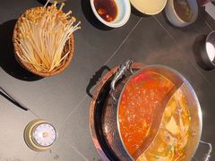 -季季山•云南野生菌火锅(上海首店)