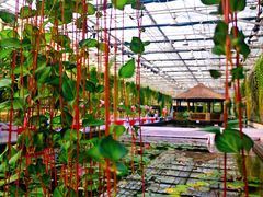 -常州花鸟园酒店(西太湖品牌优选店)