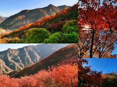 -周口店坡峰岭风景区