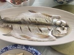 -芸海阁·农家私房菜(沙家浜景区出口店)