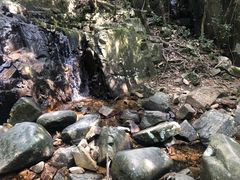 -清溪森林公园