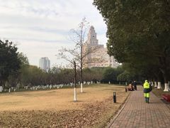-中央公园(苏州工业园区)