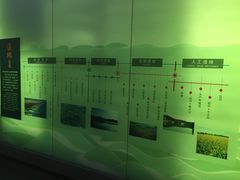 湿地分类-中国湿地博物馆