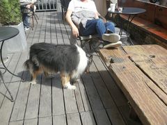 -VESH COFFEE(定西路店)