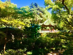 -申粤轩酒楼·三十年粤菜经典(丁香花园店)
