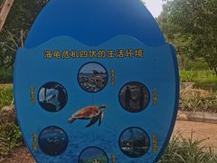-广东惠东海龟国家级自然保护区