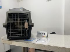 -艾贝尔宠物医院·24H转诊中心·肿瘤猫专科(江宁双龙店)