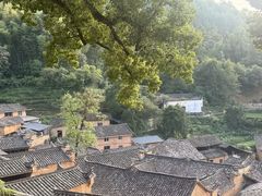 -杨家堂村