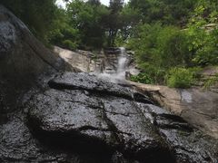 -王顺山国家森林公园