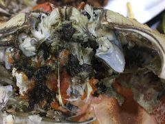 -张树军海鲜(王府壹号店)