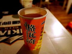 -布尔津河堤夜市
