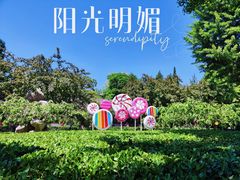 -陶然亭公园