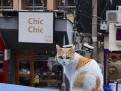 -Nectar One Cafe(勇烈路n1店)