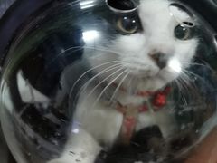 -联合动物医院(光谷诊疗中心)