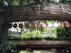 -西双版纳原始森林公园