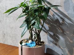 -汉堡双倍·喜鹊堡