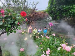 -玫瑰庄园·自助烧烤·烤全羊·团建拓展(龙泉山店)