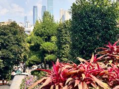 -岳麓山风景名胜区