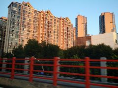 -合肥滨湖国家森林公园