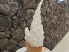 -野人先生Gelato(上海长宁龙之梦店)
