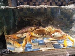 -海鲜e族(马王堆店)