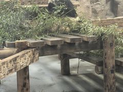 -无锡动物园·太湖欢乐园