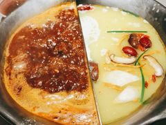 -九鼎轩脆毛肚火锅(三钢里店)