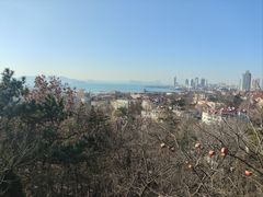 -信号山公园