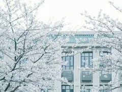 -武汉大学-樱园