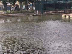 iphone_upload_pic-酷鱼垂钓CLUB(朝阳区博大路店 )