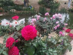 -人民公园(罗湖区)