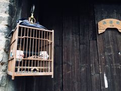 -渔梁坝