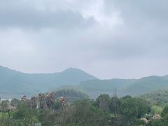-宁波九龙湖开元度假村