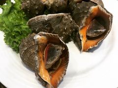 大海螺-和源祥·日照菜扛把子(万平口一店)