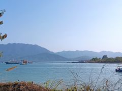 -小桂湾