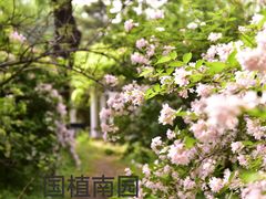 -国家植物园南园