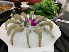 -红菇坊鲜汤火锅(北站店)