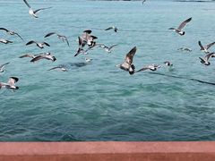 -咸德海水浴场