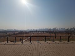 -汉长安城未央宫国家考古遗址公园