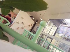 -有猫主题·治愈系猫咖(曾厝垵店)